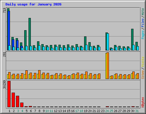 Daily usage for January 2026