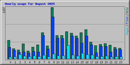Hourly usage for August 2025