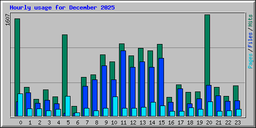 Hourly usage for December 2025