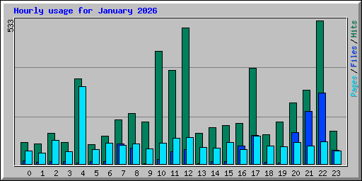 Hourly usage for January 2026