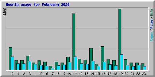 Hourly usage for February 2026