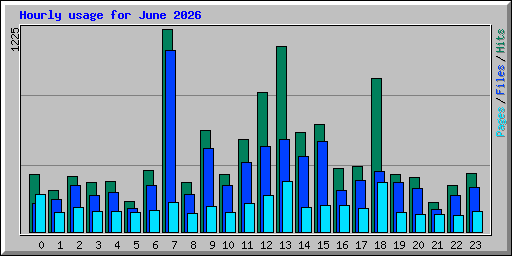 Hourly usage for June 2026